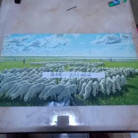 60年代影像图片，牧羊