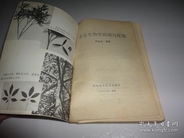 全息生物学原理与应用_叶永在_孔夫子旧书网图片