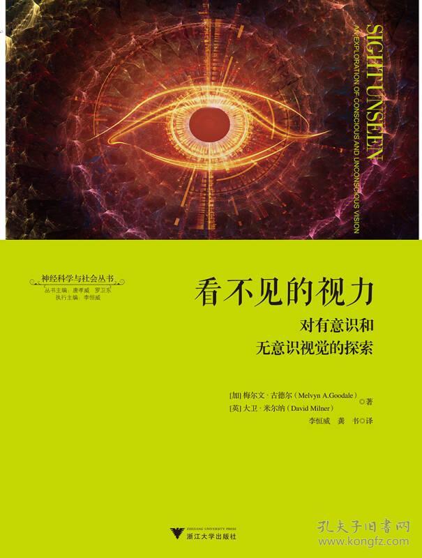 看不见的视力:对有意识和无意识视觉的探索