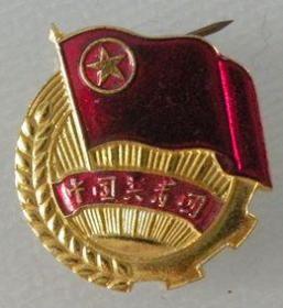 徽章--中国共青团徽