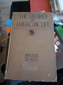 THE NEGRO IN AMERICAN LIFE 美国生活中的黑人 1926年英文原版精装本