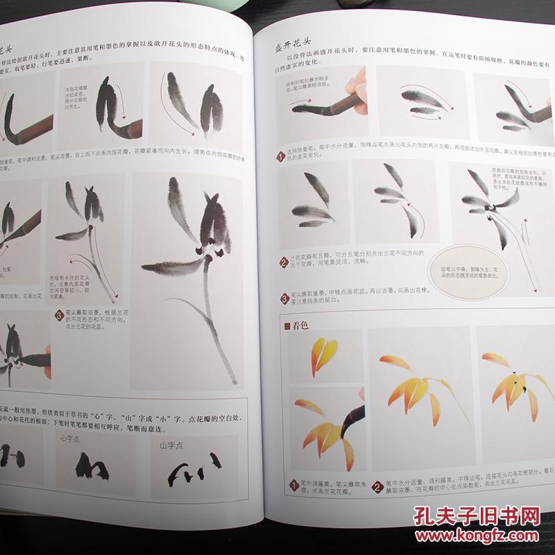 中国画基础教程梅兰竹菊毛笔写意绘画初学者培训书籍 画谱图集入门