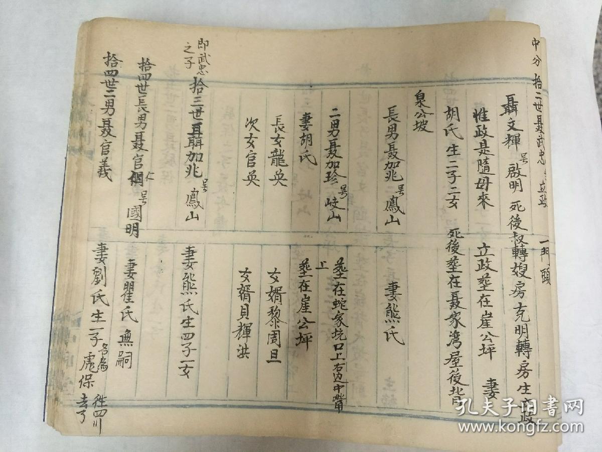 聂氏人口_人口普查(3)