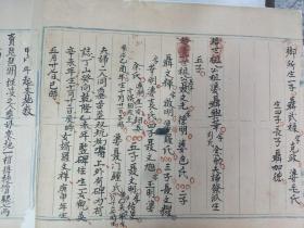 聂氏人口_人口普查(2)