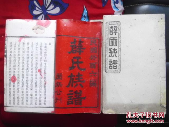 老家谱--《薛氏族谱》大部头,民国白纸版本刷印