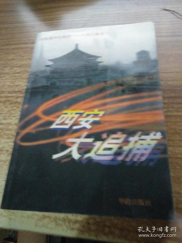 西安大追捕:百集系列电视剧-中国大案录