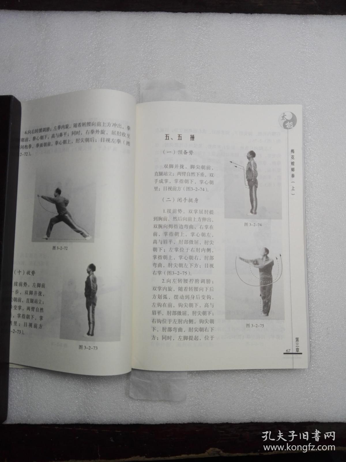 太极梅花螳螂拳(上下)