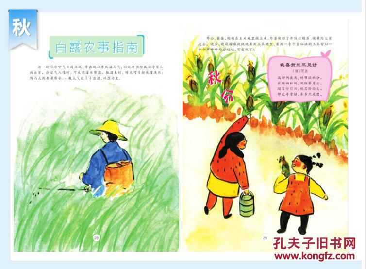 正版二十四节气的秘密 共4册春夏秋冬故事图画绘本儿童自然百科认知
