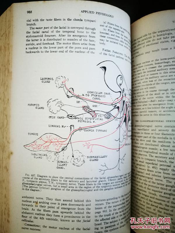 L BASIS OF MEDICAL PRACTICE 医疗美容的