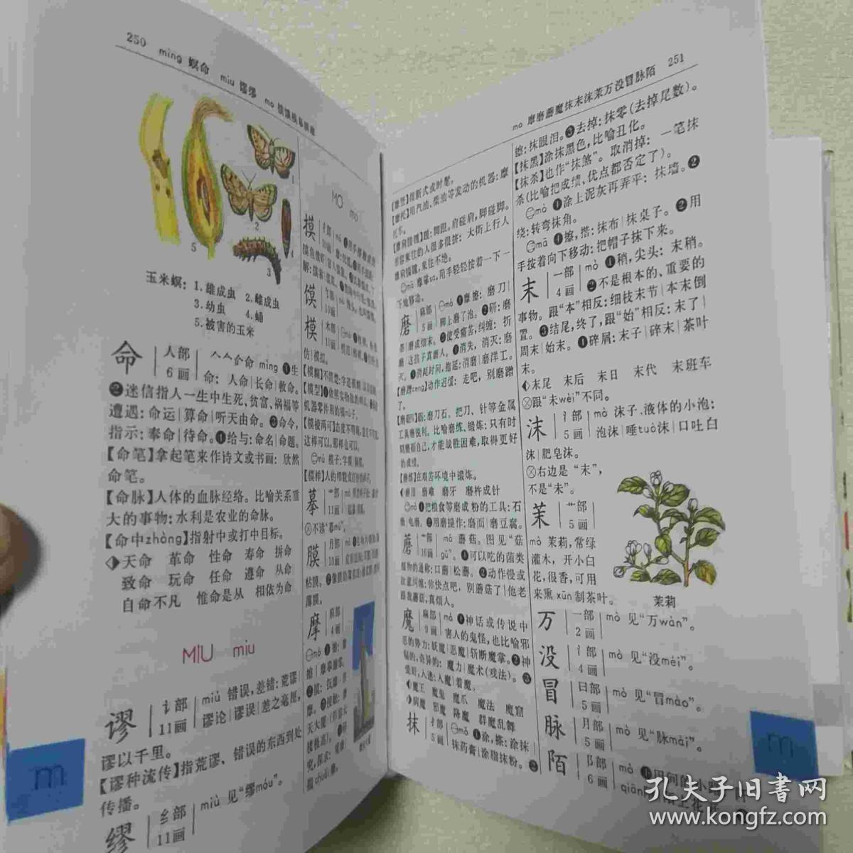 彩色版:新编小学生字典(修订本)