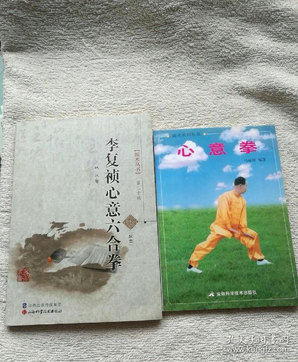 心意拳