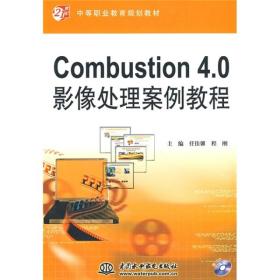 Combustion 4.0 影像处理案例教程