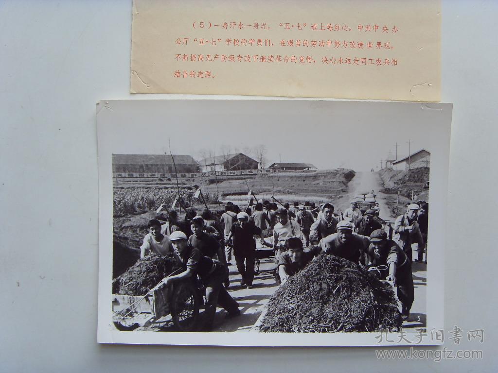 1971年,在江西省进贤县的中共中央办公厅"五七学校",学员们干农活