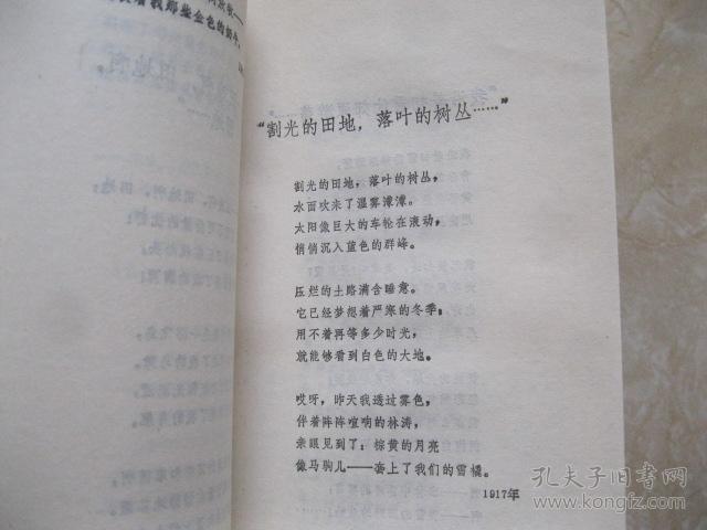 叶赛宁抒情诗选