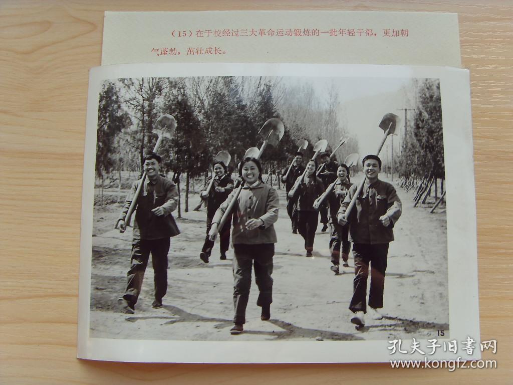 老照片:【※1974年,北京市宣武区五七干校---年轻干部