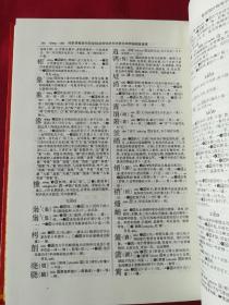 现代汉语工具书书库(中华大字典 现代汉语词典