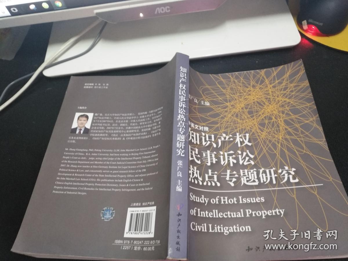 知识产权民事诉讼热点专题研究(中英文对照)