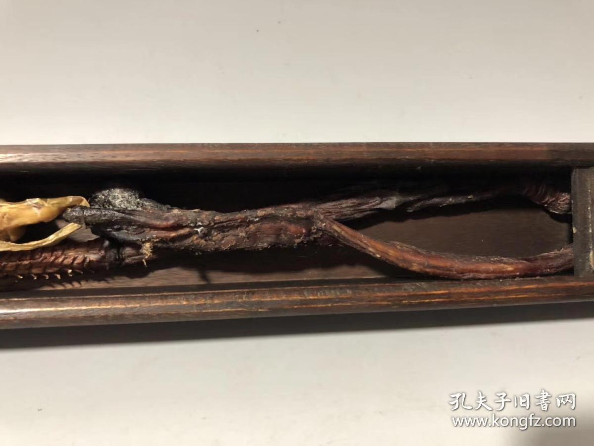 大清御药房中医大补圣品 虎鞭中医材
