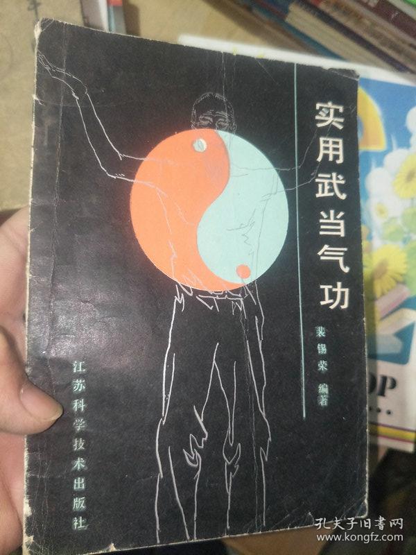 实用武当气功