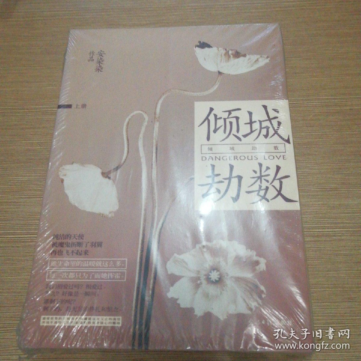 倾城劫数(安染染 著)_简介_价格_文学书籍_孔网