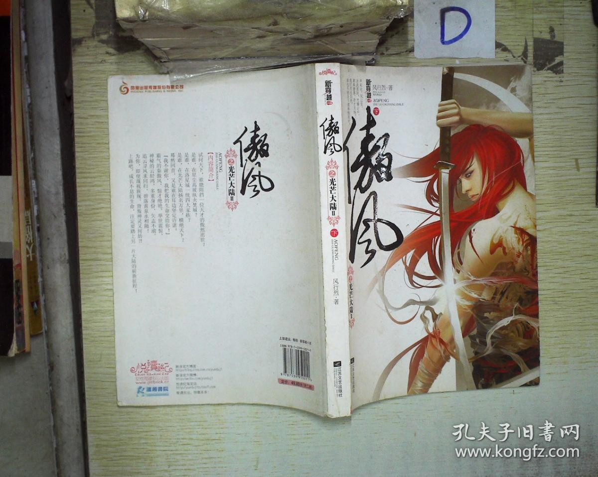 傲风之光芒大陆 下册.