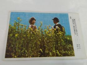 《军事邮便绘图明信片——快乐的童年》