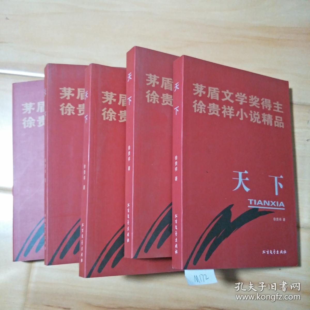 茅盾文学奖得主徐贵祥小说精品:天下 m172