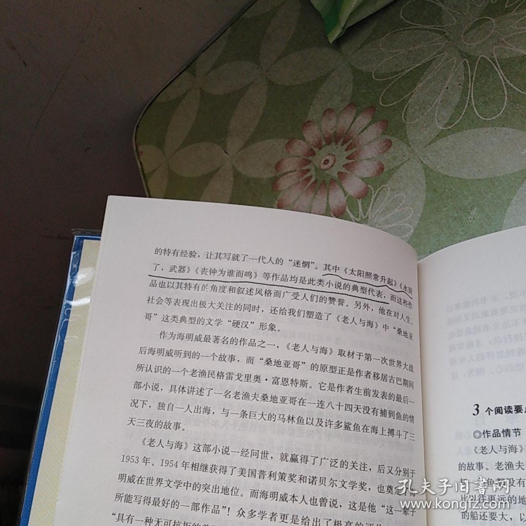 医生夫妇  拳击家  延伸阅读  本书名言记忆  读书笔记  《老人与海