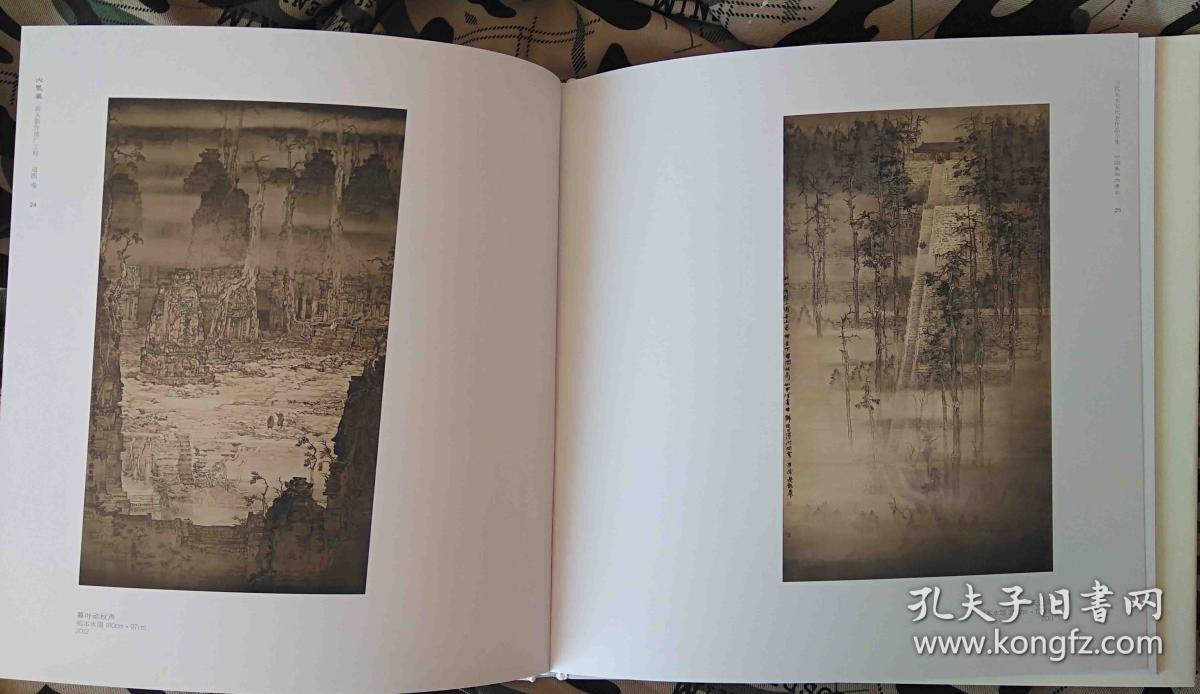 边凯中国画山水作品集(国画山水)画册,火凤凰