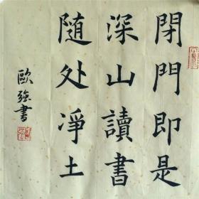 手写书法作品 闭门即是深山读书随处净土2 34cm