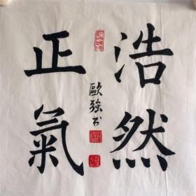 手写书法作品 浩然正气 34cm
