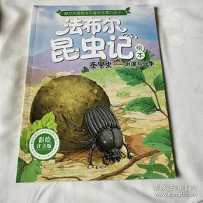 (a1) 法布尔 昆虫记绘本    圣甲虫一阴谋与战争