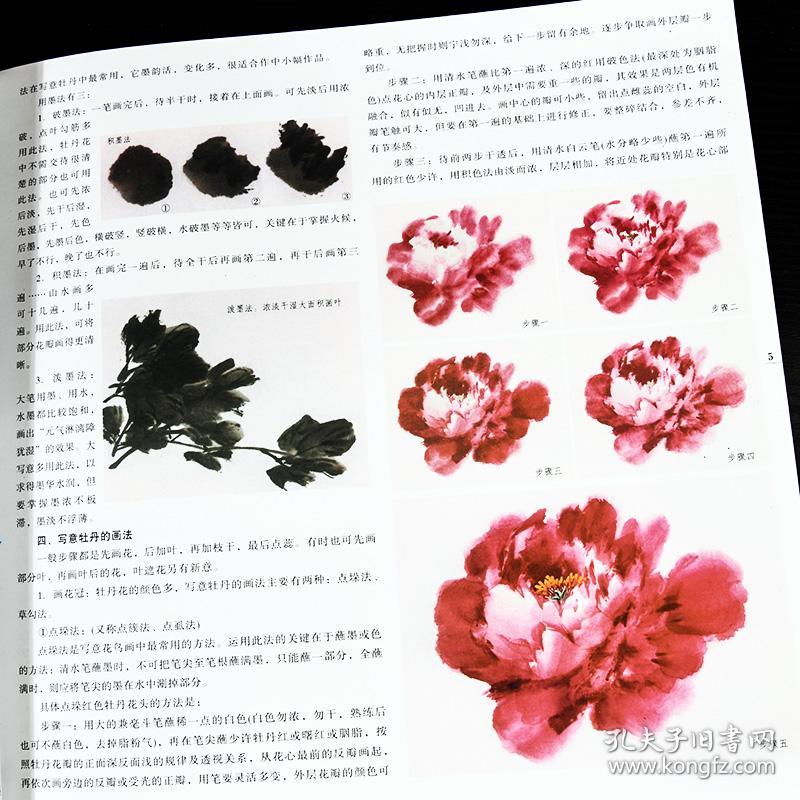 怎样画写意牡丹 天津人民美术出版社工笔画 绘画入门自学零基础书
