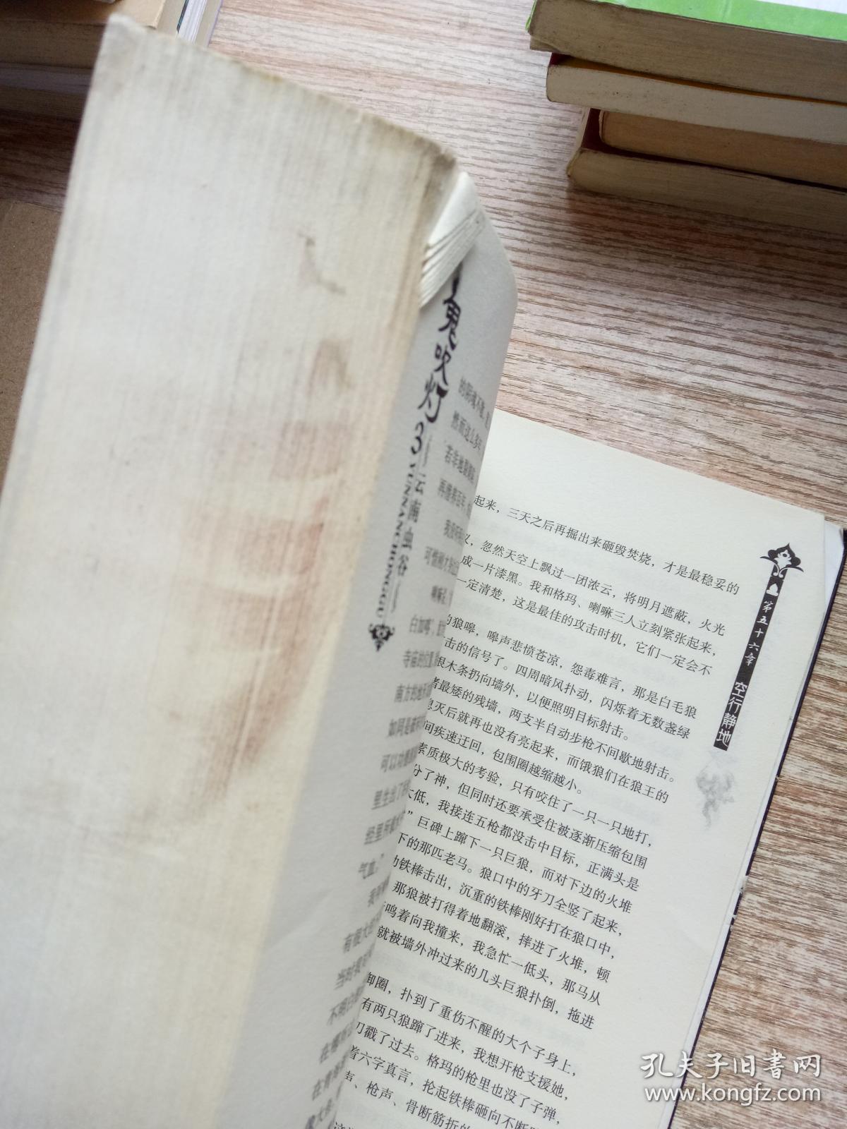 鬼吹灯3:云南虫谷