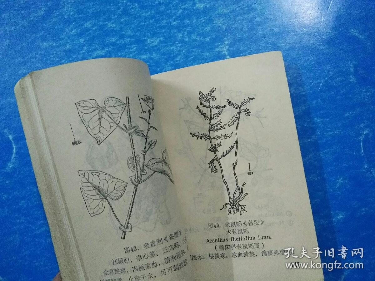 【常用草药治疗手册 增订再版】民间中草药方 验方 杂