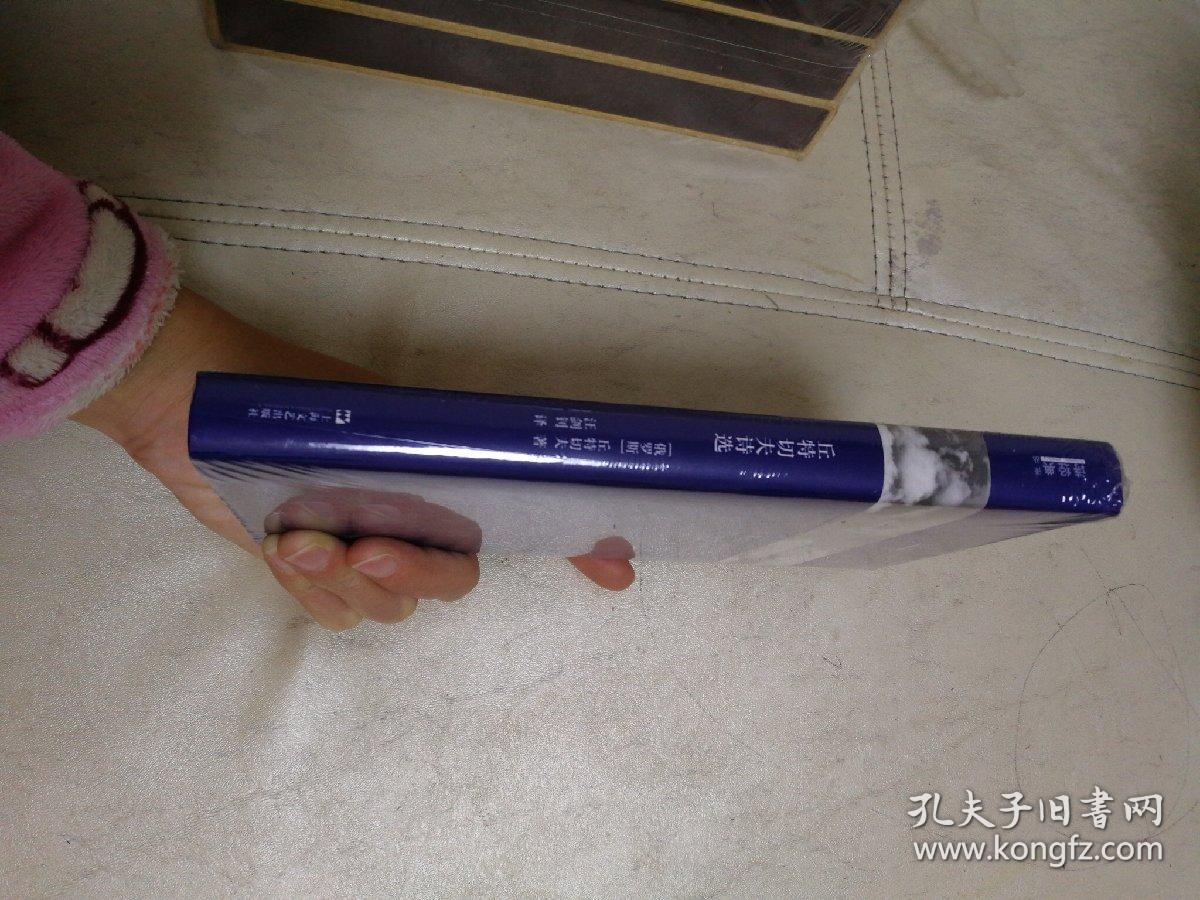 丘特切夫诗选"诗经典·译丛"第一辑)