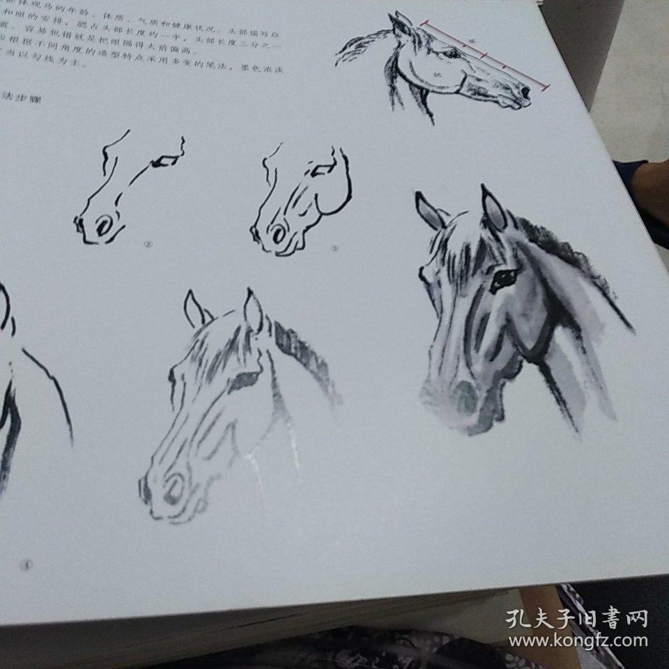中国画技法马