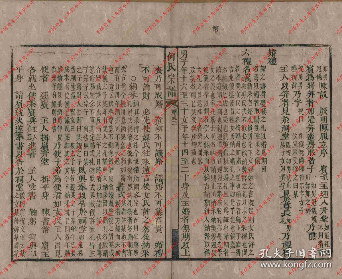 湖南桂阳 何氏宗谱 家谱 族谱 家乘(复印本)