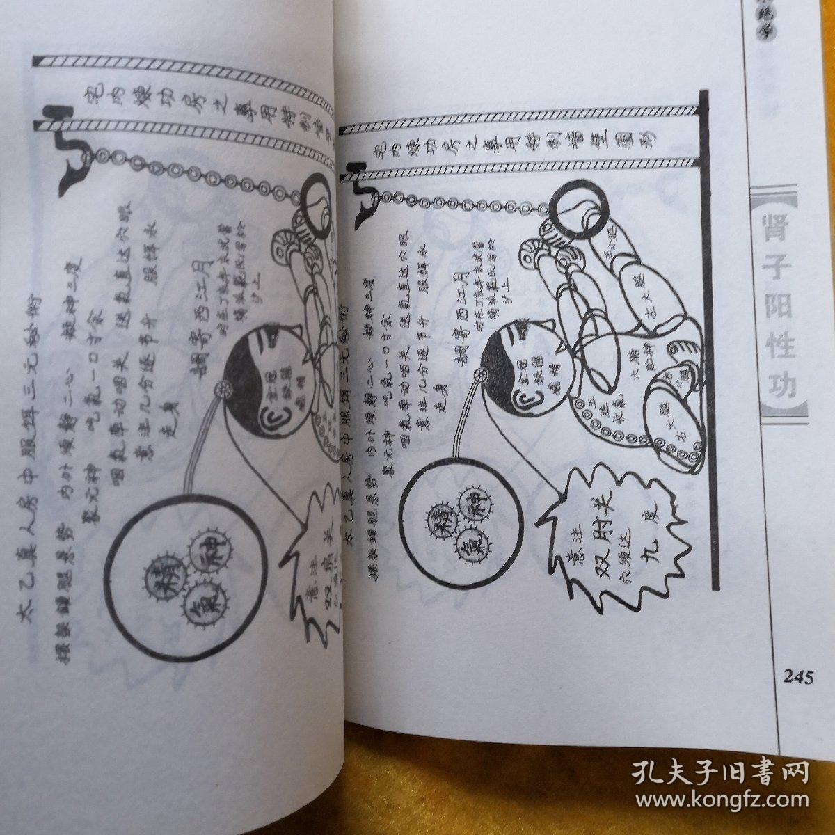 功家秘法宝藏卷四:特绝功夫 肾子阳性功(图说武当嫡派