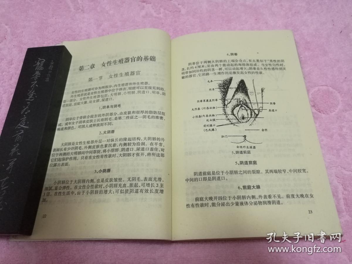 夫妻性生活艺术《玉房宝典》(当代城市情爱性爱小说 图文并茂)