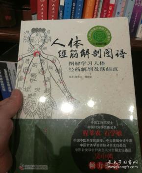 人体经筋解剖图谱图解学习人体经筋解剖及筋结点