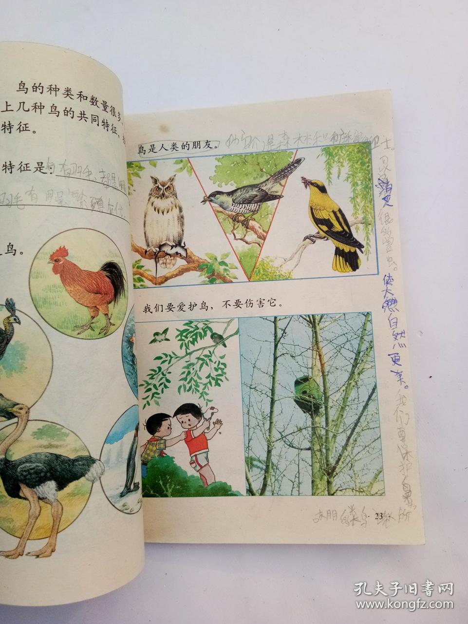 90后老课本人教版九年义务教育六年制小学教科书自然5—12册