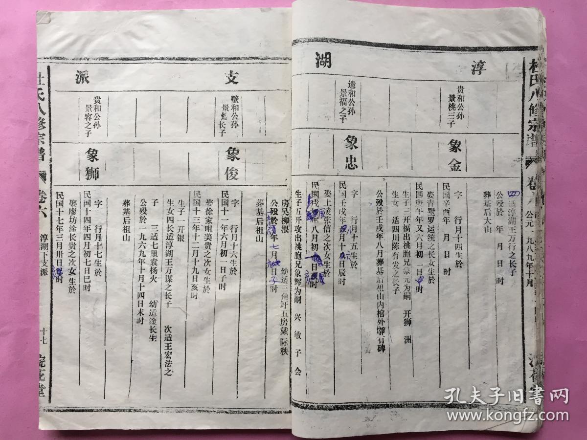 杜氏八修宗谱淳湖支派