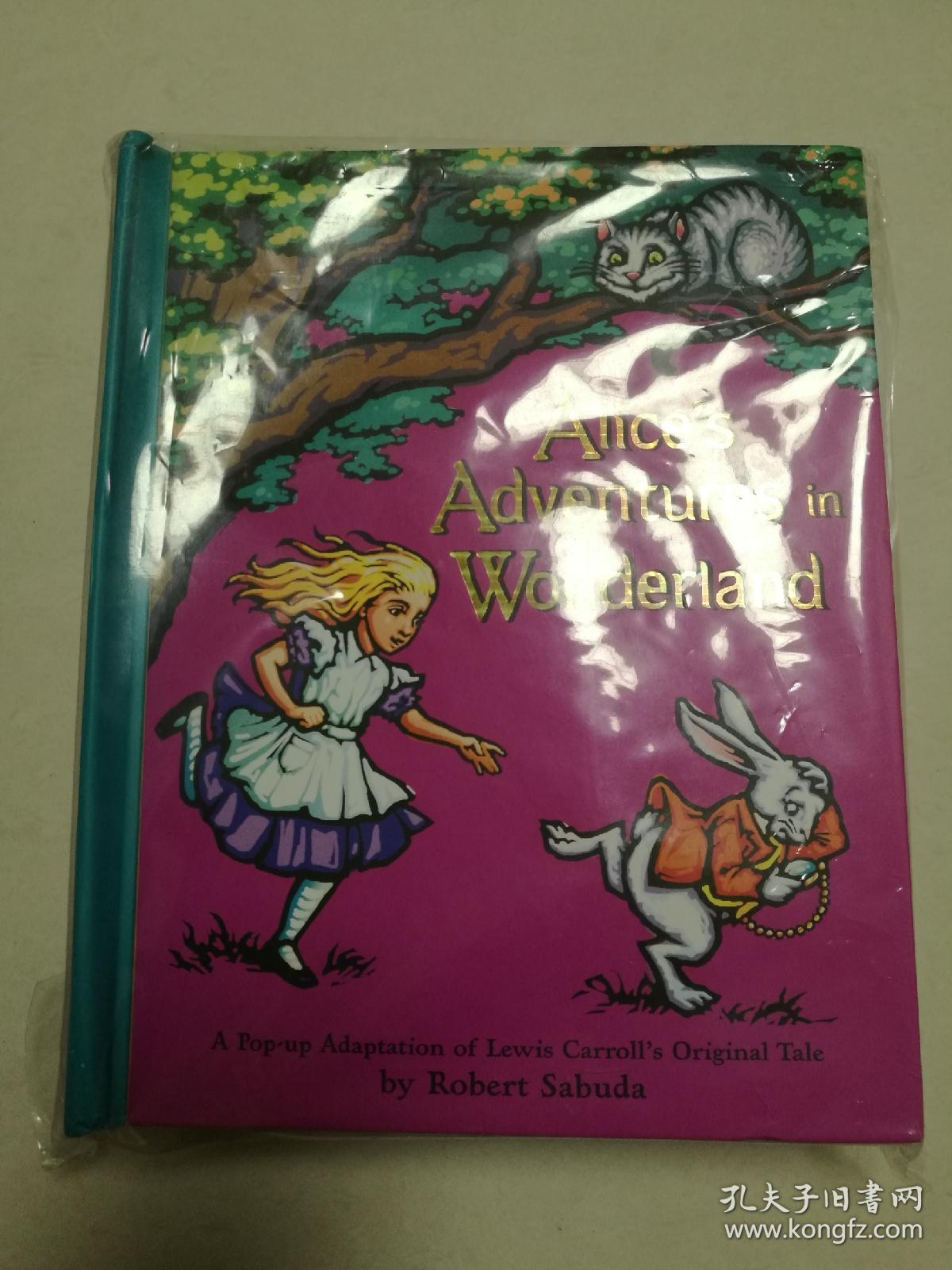 alice"s adventures in wonderland 爱丽丝漫游奇境记 英文原版