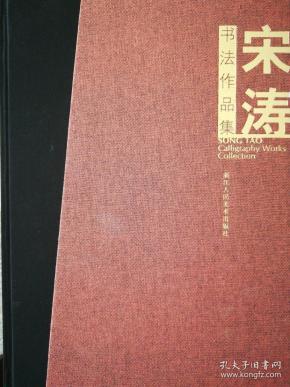 宋涛书法作品集 .