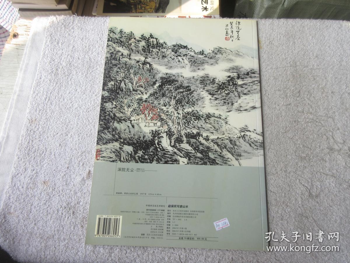 赵保民写意山水中国画名家艺术研究