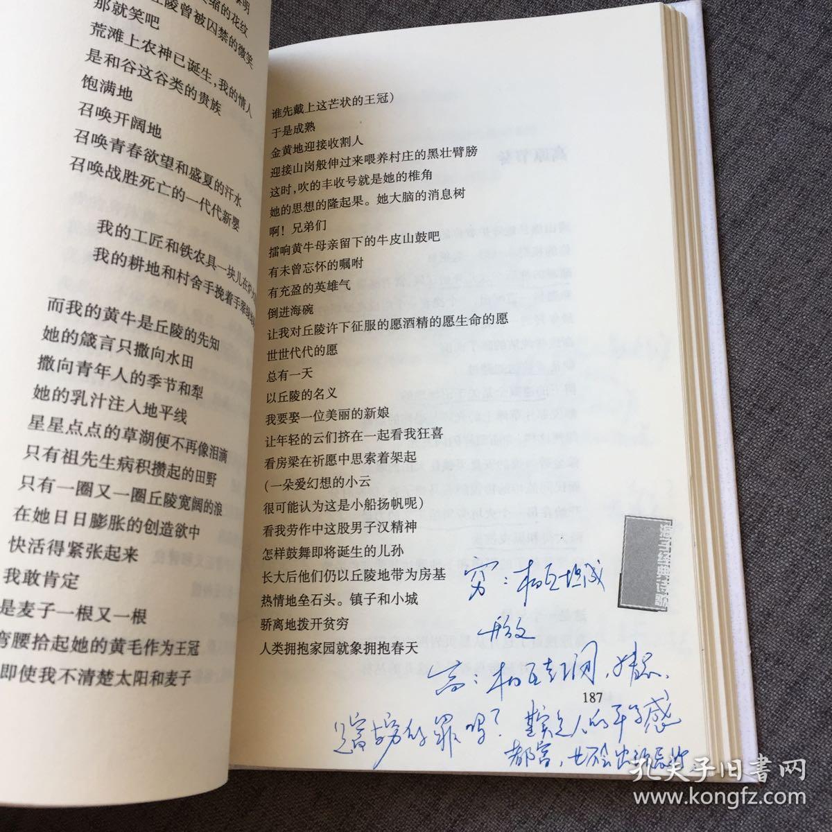海子经典诗歌