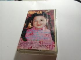 磁带-有歌词 婉君