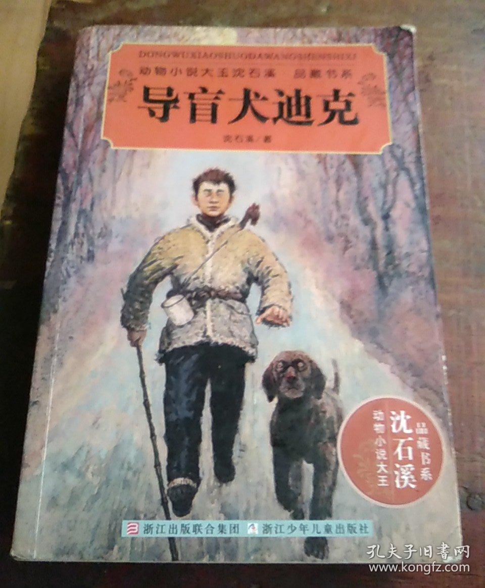 导盲犬迪克