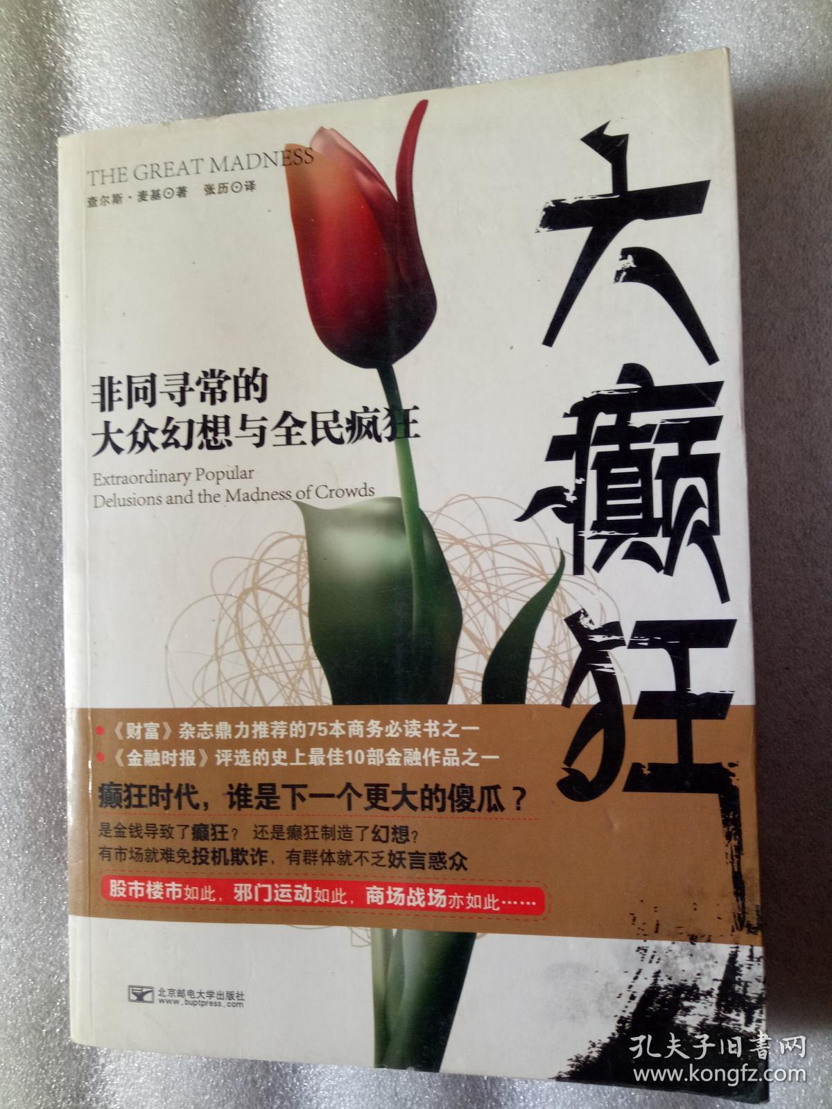 大癫狂:非同寻常的大众幻想与全民疯狂
